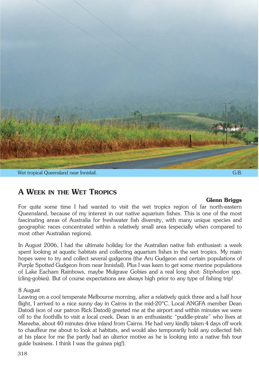 Wet tropical Queensland near Innisfail