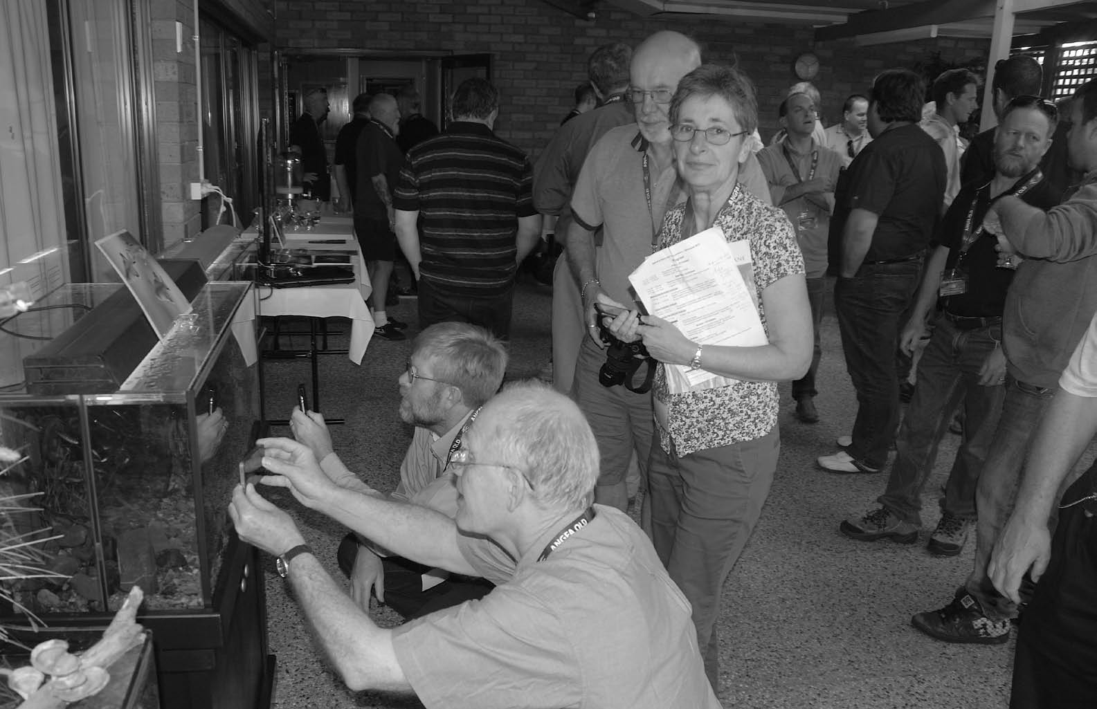 Delegates browsing fish tank displays near registration