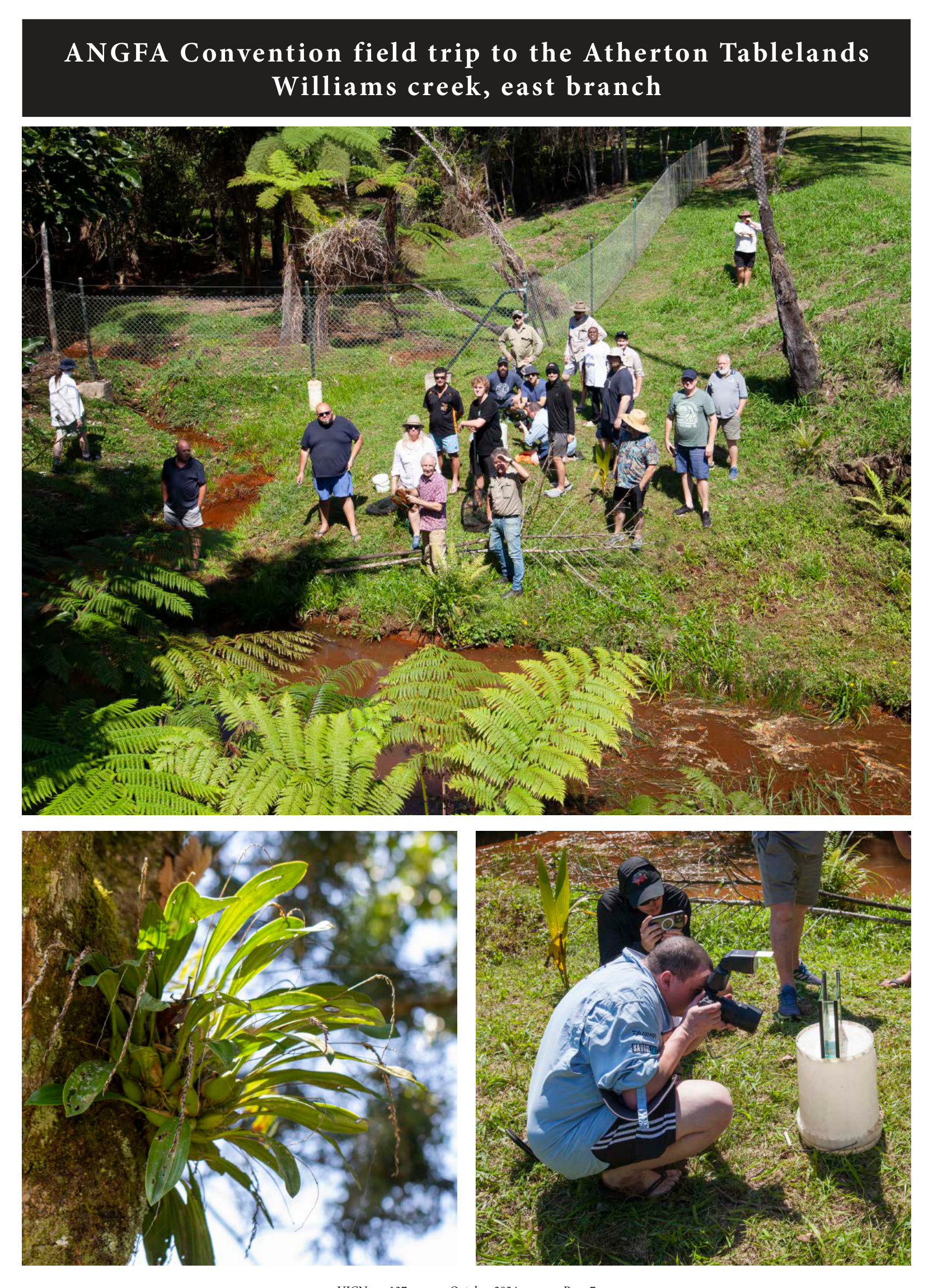 Delegates gathered beside a red-tinged tropical creek, plus close-up photos of an epiphyte and delegates photographing a specimen