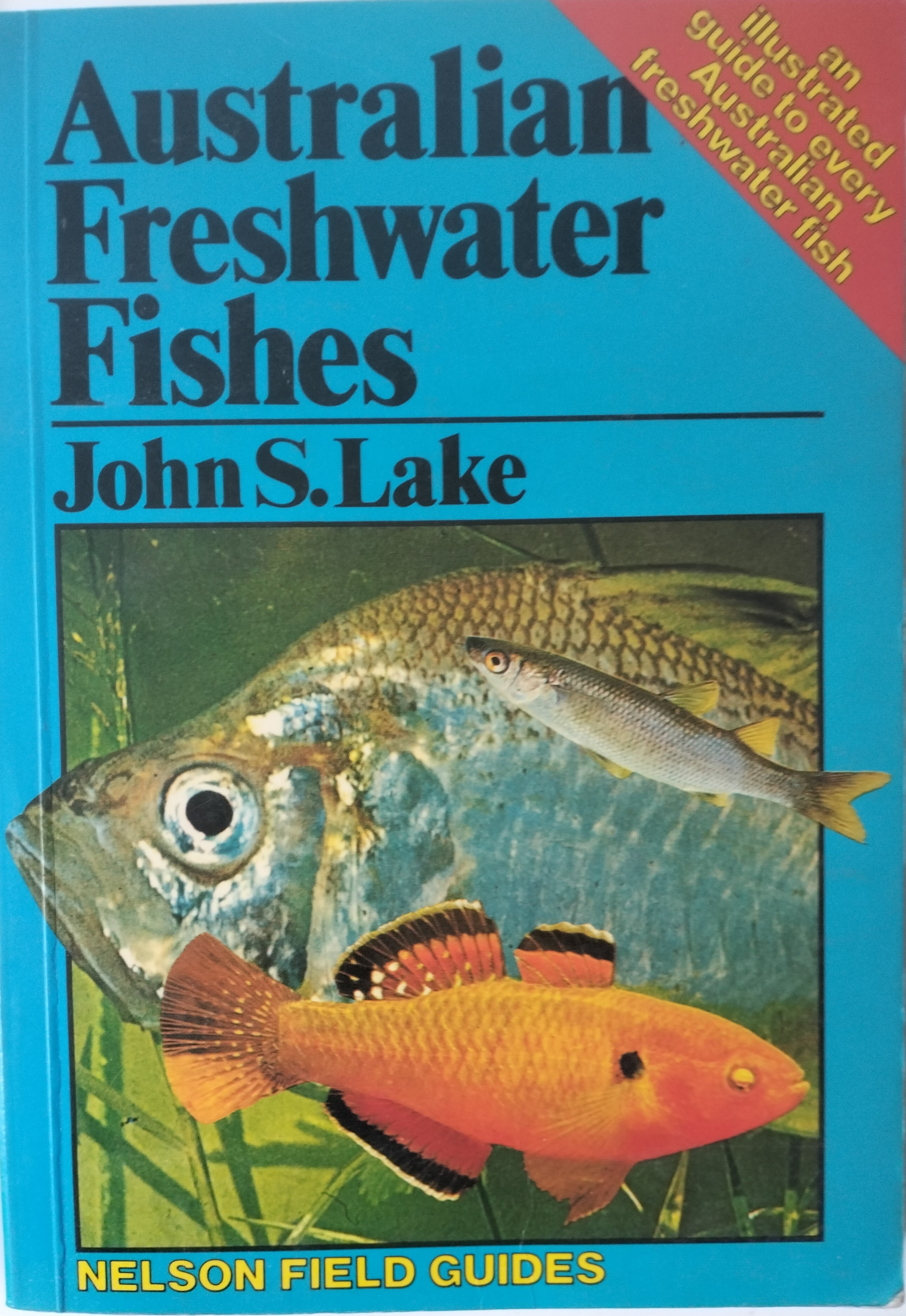 Australian Freshwater Fishes Illustrated: An Illustrated Field Guide
