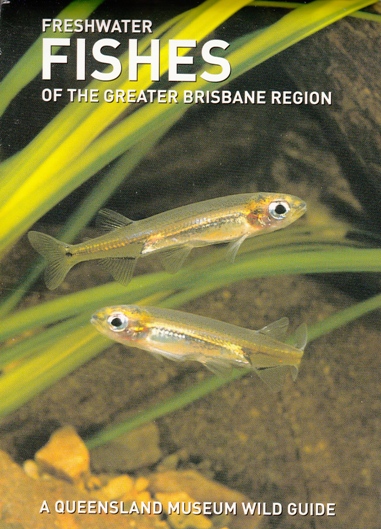 Freshwater Fishes of the Greater Brisbane Region