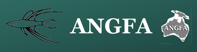 ANGFA